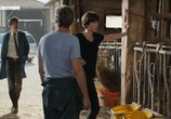 Сцена из фильма Мелкий фермер / Petit paysan (2017) Мелкий фермер сцена 4