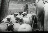 Фильм Постель для брата и сестры 1782 / Syskonbädd 1782 (1966) - cцена 7