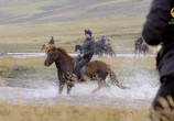 Сцена из фильма BBC: Мир природы. Исландия: Дикая жизнь / Natural World. Iceland a Wild Life (2015) BBC: Мир природы. Исландия: Дикая жизнь сцена 9