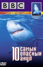 BBC: 10 самых опасных акул