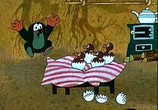 Мультфильм Приключения Крота / Krtek (1957) - cцена 3