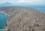 Сцена из фильма Вулкан Анак-Кракатау / Anak Krakatau Volcano (2019) Вулкан Анак-Кракатау сцена 9