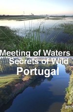 Слияние рек. Секреты дикой природы Португалии