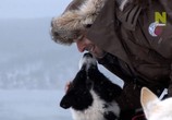Сцена из фильма Сибирская одиссея / L’Odyssée Sibérienne (2006) Сибирская одиссея сцена 1
