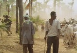 Фильм Самба Траоре / Samba Traoré (1992) - cцена 8