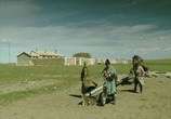 Сцена из фильма Монгольский пинг-понг / Lü cao di (2005) Монгольский пинг-понг сцена 1