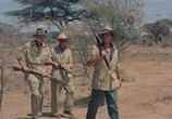 Сцена из фильма Сафари / Safari (1956) Сафари сцена 3