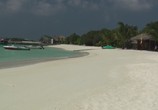 Сцена из фильма Мальдивы: Впечатления. Великолепные острова / Malediven: HD Impressionen Traumhafter Inseln (2011) Мальдивы: Впечатления. Великолепные острова сцена 13