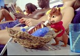 Фильм Элвин и бурундуки 3 / Alvin and the Chipmunks: Chip-Wrecked (2011) - cцена 8