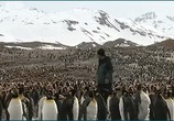 Сцена из фильма Пингвинье сафари / Penguin Safar (2007) Пингвинье сафари сцена 1