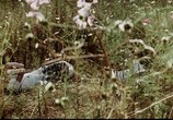 Сцена из фильма Женщина-огонь / Hwanyeo (1971) Женщина-огонь сцена 1