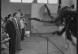 Фильм Земля против паука / Earth vs. the Spider (1958) - cцена 3