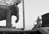 Сцена из фильма Солдат и слон (1978) Солдат и слон сцена 4