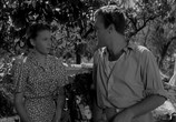 Сцена из фильма Жить в мире / Vivere in pace (1947) Жить в мире сцена 7
