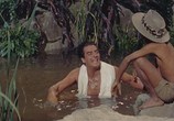 Сцена из фильма Сафари / Safari (1956) Сафари сцена 12