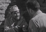 Сцена из фильма Сахара / Sahara (1943) Сахара сцена 2