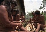 Сцена из фильма Гуарани, люди из сельвы / Guarani, people of the selva (2008) Гуарани, люди из сельвы сцена 2
