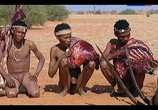 Сцена из фильма Жизнь по законам саванны. Намибия / The last hunters in Namibia (2013) Жизнь по законам саванны. Намибия сцена 3
