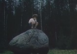 Фильм Чертенок / Nukitsamees (1981) - cцена 3