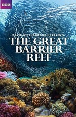 BBC. Большой Барьерный риф с Дэвидом Аттенборо