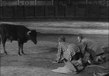 Сцена из фильма Мой дядя Хасинто / Mi tío Jacinto (1956) Мой дядя Хасинто сцена 18