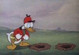 Мультфильм Дональд Дак - Большая Коллекция [36 серий] / Donald and Pluto (1936) - cцена 1