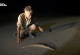 ТВ Десять смертельно опасных змей / Ten Deadliest Snakes with Nigel Marven (2015) - cцена 4