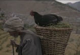 Сцена из фильма Чёрная курица / Kalo Pothi (2015) Чёрная курица сцена 1
