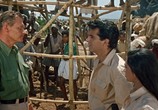 Фильм Тарзан едет в Индию / Tarzan Goes To India (1962) - cцена 2