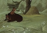 Сцена из фильма Седой медведь (1988) Седой медведь сцена 1