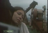 Сцена из фильма Тростинка на ветру (1980) Тростинка на ветру сцена 2