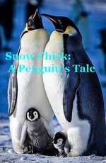 Заснеженный птенец или История одного пингвина