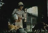 Сцена из фильма Публичный дом №8 / Sandakan hachibanshokan bohkyo (1974) Публичный дом №8 сцена 5