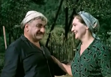Сцена из фильма Жених без диплома (1961) 
