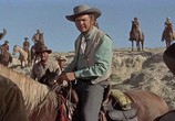 Сцена из фильма Человек из Ларами / The Man From Laramie (1955) Человек из Ларами сцена 2