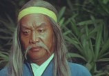 Сцена из фильма Молодой герой из Шаолиня / The Young Hero of Shaolin (1984) Молодой герой из Шаолиня сцена 2