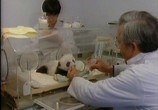 Сцена из фильма National Geographic: Гигантские Панды. Последнее убежище / Giant Pandas: The Last Refuge (1995) National Geographic: Гигантские Панды. Последнее убежище сцена 2