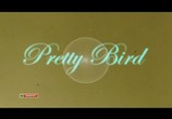 Фильм Пташка / Pretty Bird (2008) - cцена 1
