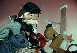 Мультфильм Как кошка с собакой... - Сборник мультфильмов (1972-1984) (1972) - cцена 3