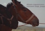 Сцена из фильма История Молдовы / Istoria Moldovei (2017) История Молдовы сцена 6