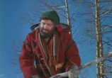 Сцена из фильма Никки, дикий пес севера / Nikki, Wild Dog of the North (1961) Никки, дикий пес севера сцена 9