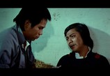 Сцена из фильма 12 ударов Кунг-Фу / Shi er tan tui (1979) 12 ударов Кунг-Фу сцена 4
