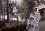 Сцена из фильма Тайна монастырской ракии / Tajna manastirske rakije (1988) Тайна монастырской ракии сцена 11