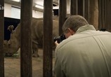 Сцена из фильма Фото-ковчег: самые редкие животные / Photo Ark: Rarest Creatures (2020) Фото-ковчег: самые редкие животные сцена 6