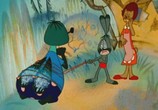 Сцена из фильма Зайчонок и муха (1977) Зайчонок и муха сцена 4