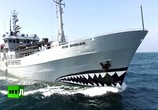 ТВ Морской дозор: защита китов с помощью оружия (2017) - cцена 1