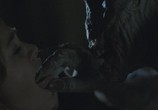 Сцена из фильма Лепрекон: Начало / Leprechaun: Origins (2014) Лепрекон: Начало сцена 11