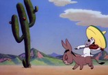 Сцена из фильма Друпи - коллекция / Tex Avery's Droopy: Collection (1946) Друпи - коллекция сцена 1