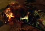 Сцена из фильма Расчленитель / Kolobos (1999) Расчленитель сцена 3