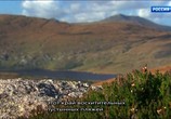Сцена из фильма Дикая Ирландия - на краю земли / Wild Ireland: The Edge of the World (2017) Дикая Ирландия - на краю земли сцена 3